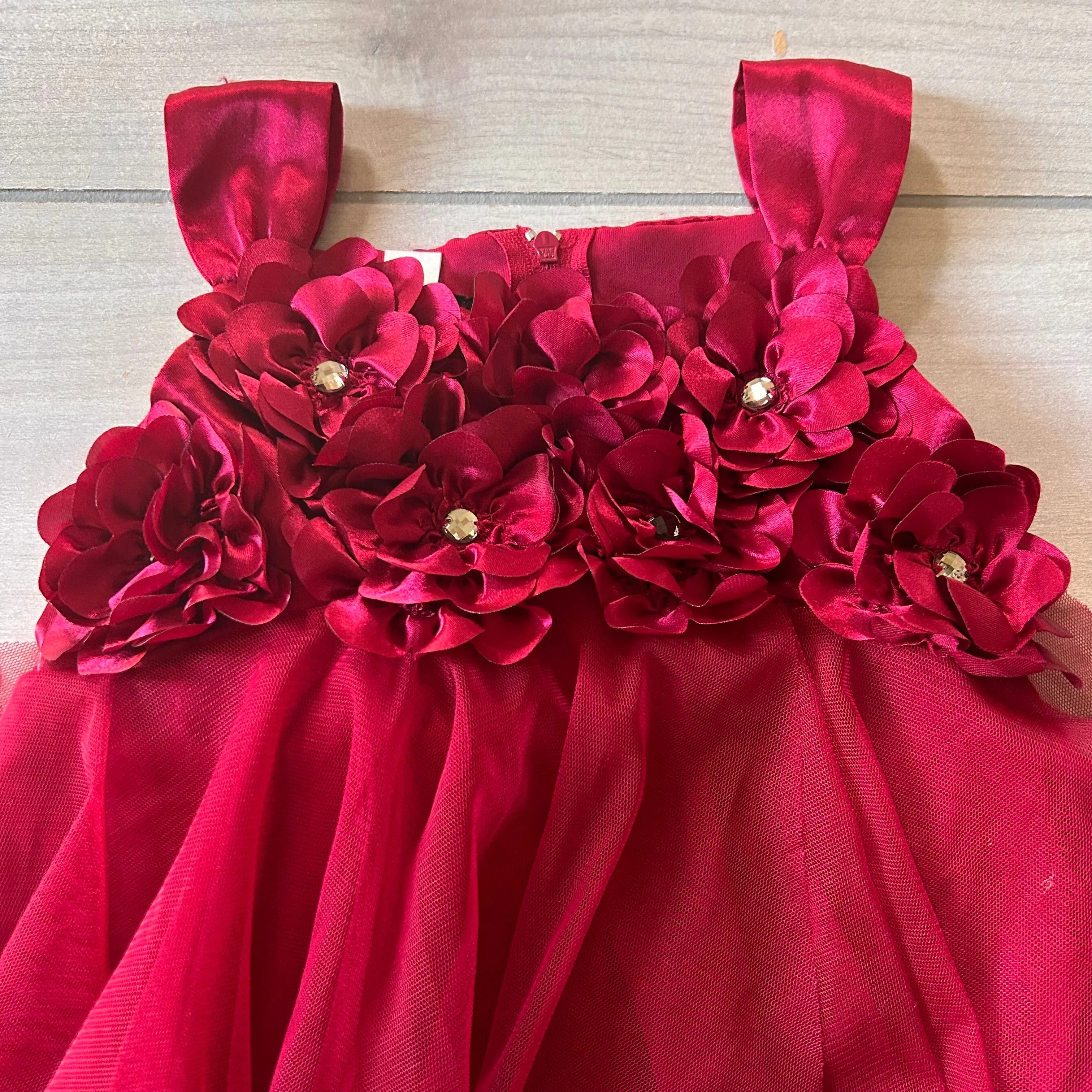 Biscotti Red Tulle Floral Dress