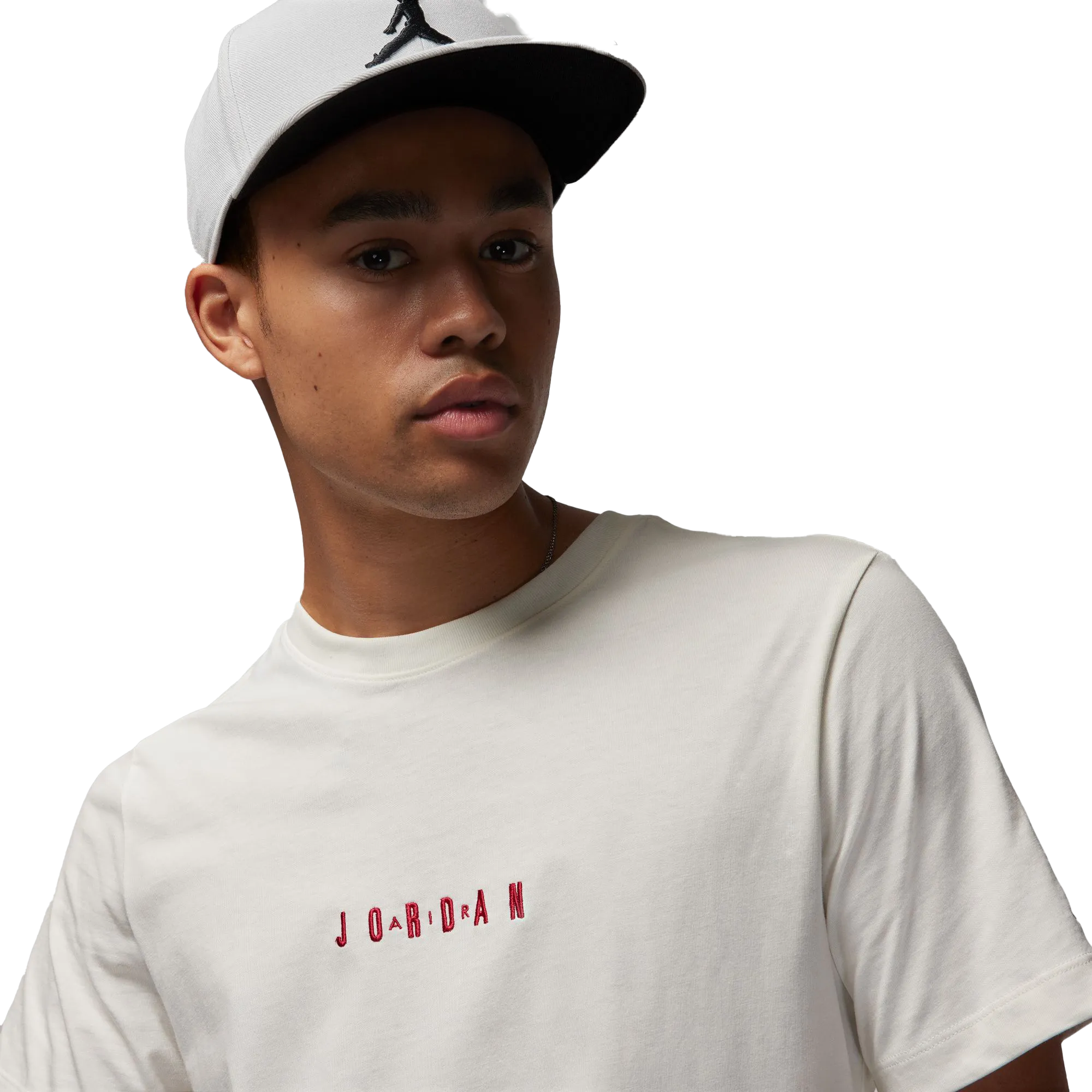 Jordan Air Men's T-Shirt